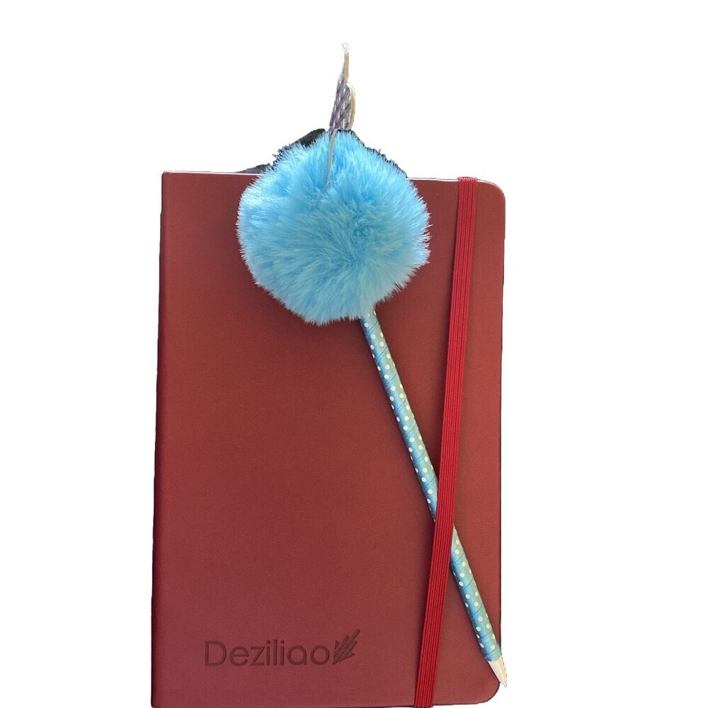 Deziliao Journal With Fun pen!